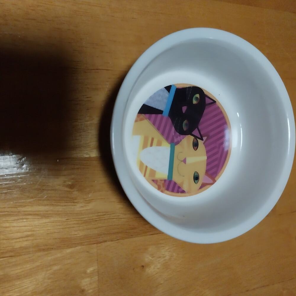 PetRageous Designs Dish
